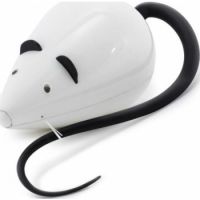 PetSafe Frolicat Rolorat Cat Toys