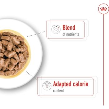  Royal Canin Mini Ageing Gravy (Wet Food - Pouches) 12 x 85 g 