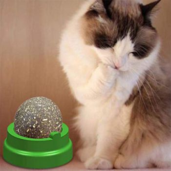  Catnip Cat Toys Mint Ball 