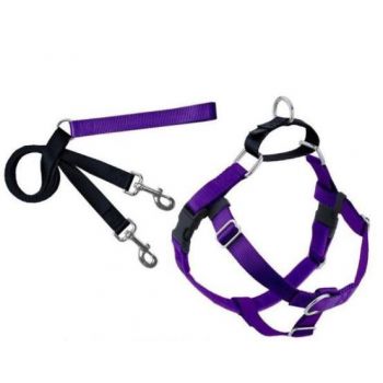  Freedom No-Pull Harness and Leash - Purple / Large 1" 