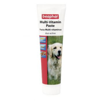  Multi Vitamin Paste - Dog / 100 g 