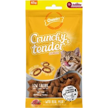  Gnawlers Crunchy & Tender Cat Treats 65g - Chicken Flavour 