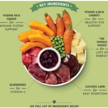  Lily's Kitchen Lamb Hotpot Wet Dog Food - 150G 