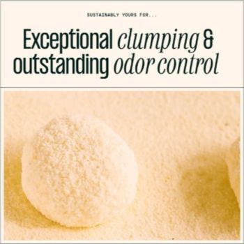  Sustainably Yours Natural Cat Litter - 13lb /6 Kgs 