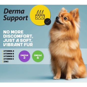  Myfood Superpremium Dry Food for Adult Small Breed Dogs with Lamb and Rice 2.5 kg 