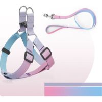Helepet Flat Pet Leash Harness-Plastic Buckle Pink Rainbow  Small: 10mm*250-300mm