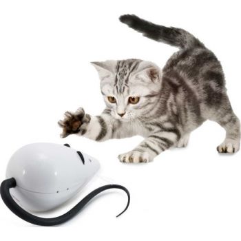  PetSafe Frolicat Rolorat Cat Toys 