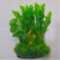 Sea Star Aquarium Plant PLT681M