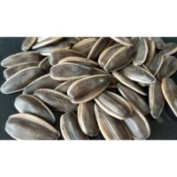 Sunflower Seeds Large Size 350G