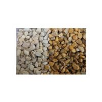 Nutrapet Machine-made pebble washed (CREAM)10 KG