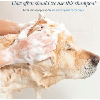  Synergy Labs Veterinary Formula Clinical Care Flea & Tick Shampoo 473ml 