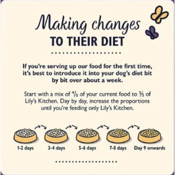  Lily's Kitchen Senior Recipe Turkey Adult 8+ Dry Dog Food - 2.5KG 