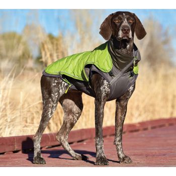  Pet Stages Telluride 2-In-1 Coat Green XS 