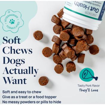  Synergy Labs Veterinary Formula Gut Health Formulated Probiotic Chews Supplement for Dogs – 225g [Count - 60] 