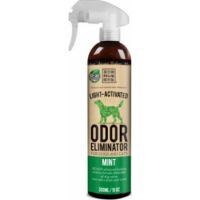 Reliq Odor Eliminator Mint