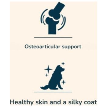  Pro nutrition Prestige Dog Adult Maxi 14Kg 