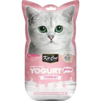  Kit Cat Freeze Dried Yogurt Yums – Strawberry 10G 