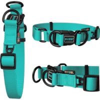DOCO® DD Collar 2.5 x 45-68cm(L) Turquoise
