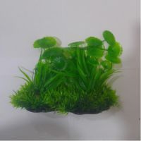Sea Star Aquarium Plant PLT667M