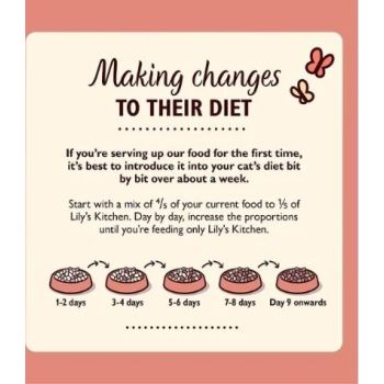  Lily's Kitchen Organic Chicken Pate Wet Cat Food - 85G 