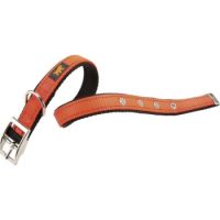 Ferplast Dual CF Collar[Color - Orange, Dimension - 27-35cm x 15mm]