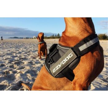  EzyDog Convert Dog Harness, Charcoal - Xsmall 