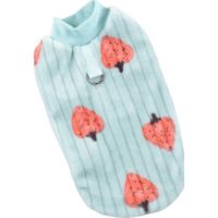 Hong Pet Flannel Print - Strawberry Green Small