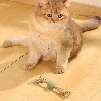  M-PETS Charmy Branch Green Catnip Cat Toy 