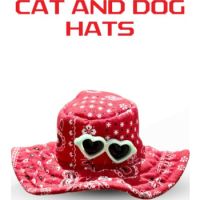 SAAS Pet Hat with Glass Medium