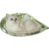 Saas Cat Glass Type Hammock