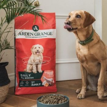  Arden Grange Daily All Breeds Adult Fresh Chicken & Rice Dry Dog Food 6kg 