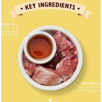  Lily's Kitchen Chicken Pate Wet Cat Food 85G 