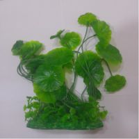 Sea Star Aquarium Plant PLT454M