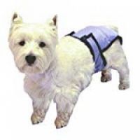 POOCHPAD POOCHPANTS REUSABLE DIAPER MEDIUM