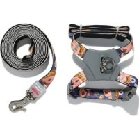 Panda X Harness And Leash Set Pink 20mmx45-70cm