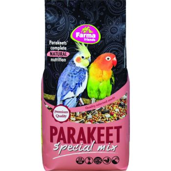  Parakeet Special Mix Bird Food 1kg 