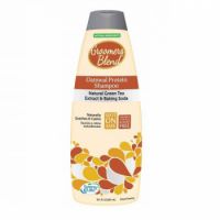 SYNERGY LAB GB  OATMEAL ITCH RELIEF SHAMPOO 544ML
