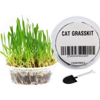  Natural Cat Grass Growing Kit 