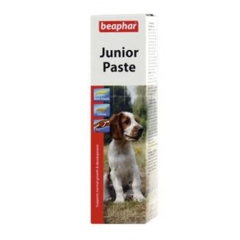  Junior Paste - Dog / 100 g 