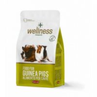 WELNESS GUINEA PIGS 1KG