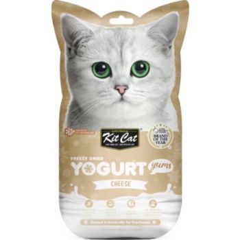  Kit Cat Freeze Dried Yogurt Yums – Cheese 10G 