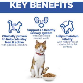  Hill’s Science Plan Sterilised Cat Adult Cat Food With Salmon (10kg) 