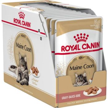  Royal Canin Cat Wet Food Maine Coon 12x85g 