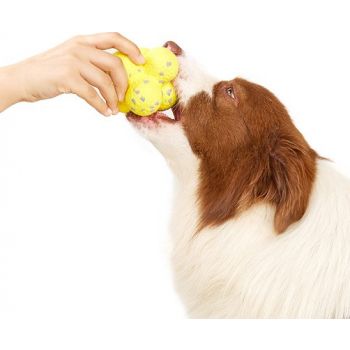  FOFOS Ultra-Durable Dog Ball Yellow 