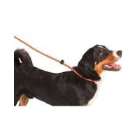 SLIP LEASH MAXI SAFE 81079