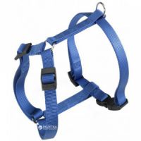 CHAMPION P SM HARNESS BLUE