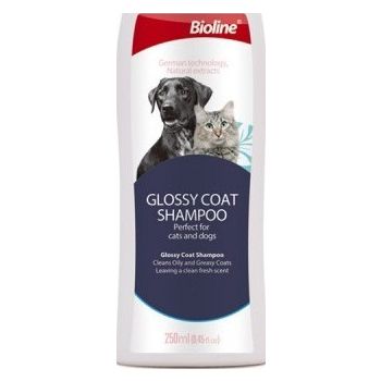  Biolineglossy Coat Shampoo-Dogs And Cats 250ml 