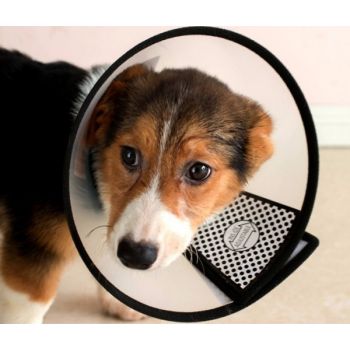  Woofy Protective Pet Medical Collar XS 13x21-24 Cm 