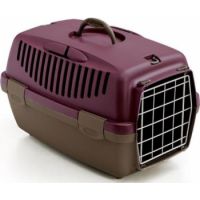 Pawsitiv Marco Polo 2 Purple
