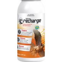 FALCON RECHARGE